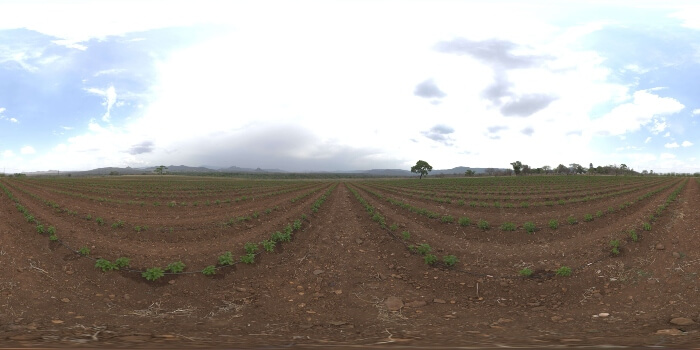 farm field